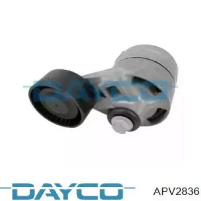 Купити APV2836 Dayco Натягувач приводного ременя