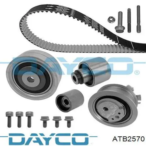 Купити ATB2570 Dayco Ролик паразитний ГРМ