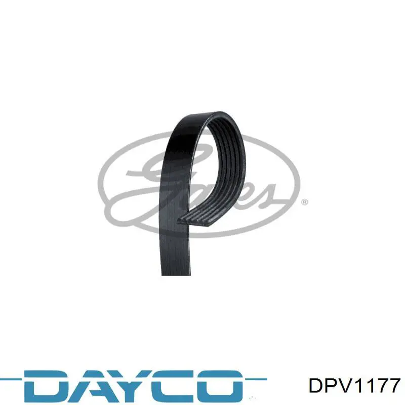 Шків колінвала (демпфер ) Dayco DPV1177 ціна, від 57.69 USD