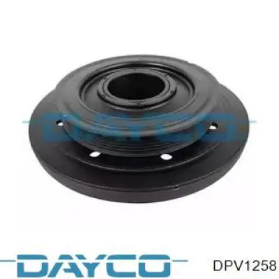  DPV1258 Dayco