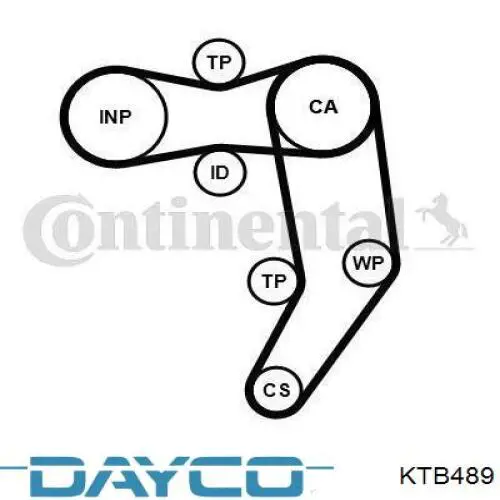 Купити KTB489 Dayco ГРМ ремень