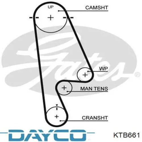 Купити KTB661 Dayco ГРМ ремень