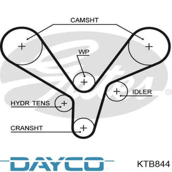 Купити KTB844 Dayco ГРМ ремень