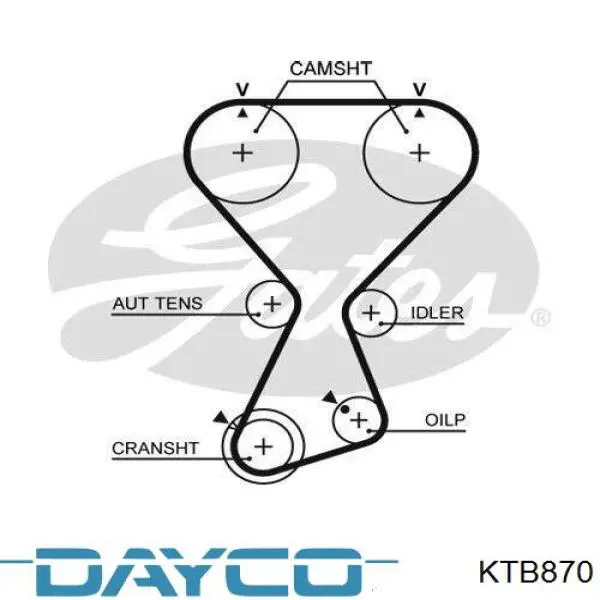 Купити KTB870 Dayco ГРМ ремень