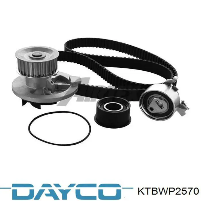 Купити KTBWP2570 Dayco ГРМ ремень