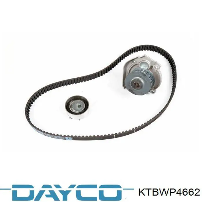 Купити KTBWP4662 Dayco ГРМ ремень