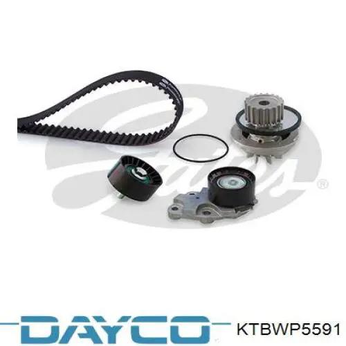 Купити KTBWP5591 Dayco ГРМ ремень