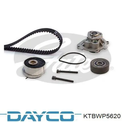 Купити KTBWP5620 Dayco ГРМ ремень