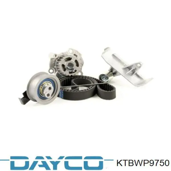 Купити KTBWP9750 Dayco ГРМ ремень