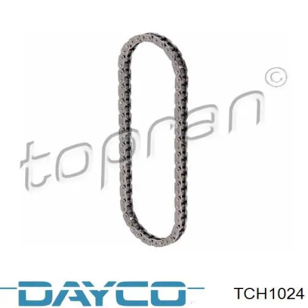 Купити TCH1024 Dayco Ланцюг ГРМ, розподілвала