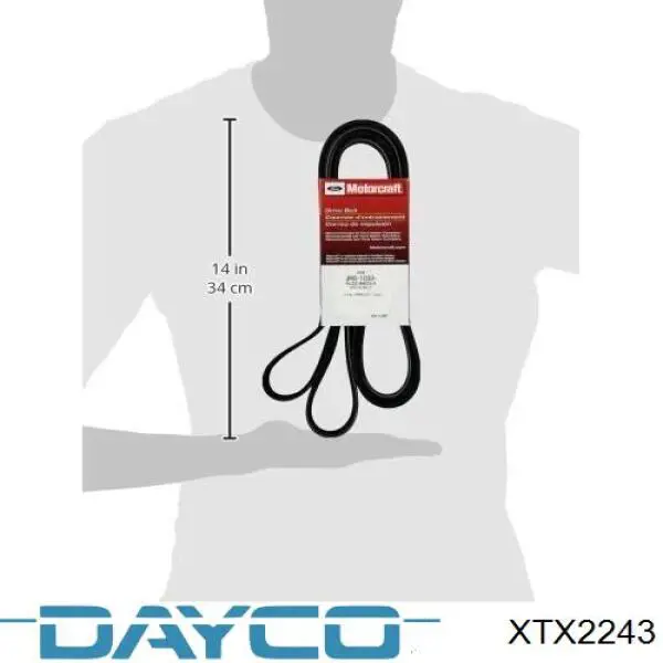 XTX2243 Dayco Ремінь варіаторної коробки передач