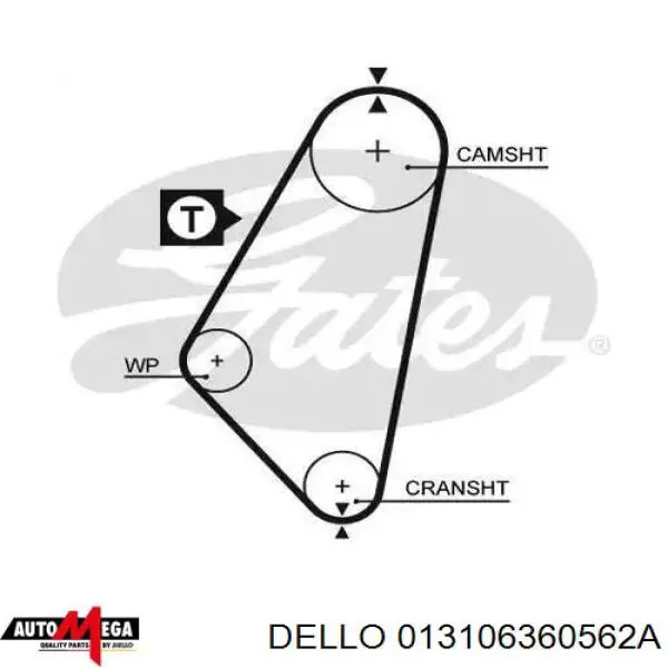 Ремінь ГРМ 013106360562A Dello/Automega