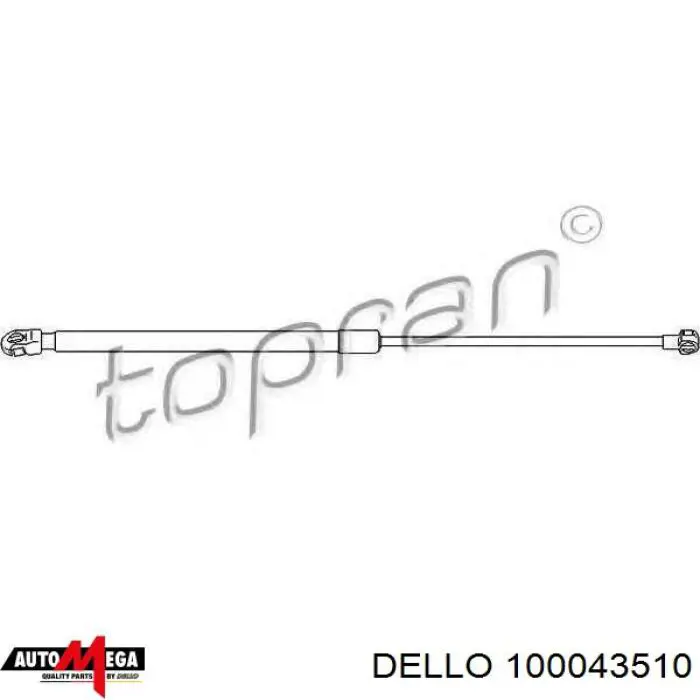 Амортизатор двері задньої Dello/Automega 100043510 ціна, від 11.89 USD