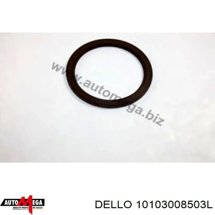 Купити 10103008503L Dello/Automega Сальник распредвала