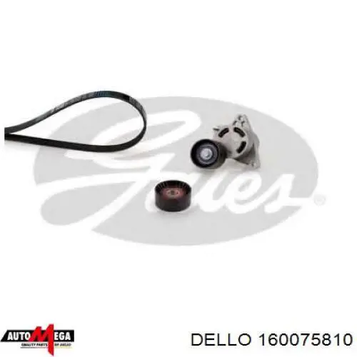 160075810 Dello/Automega Ролик приводного ременя, паразитний