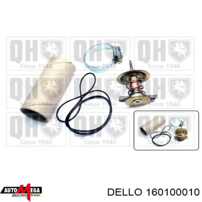 Купити 160100010 Dello/Automega Термостат в корпусі