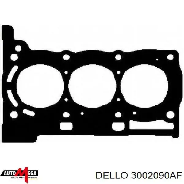 3002090AF Dello/Automega прокладка головки блока циліндрів (гбц)