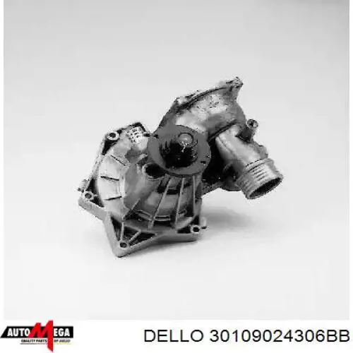 30109024306BB Dello/Automega Ролик натягувач