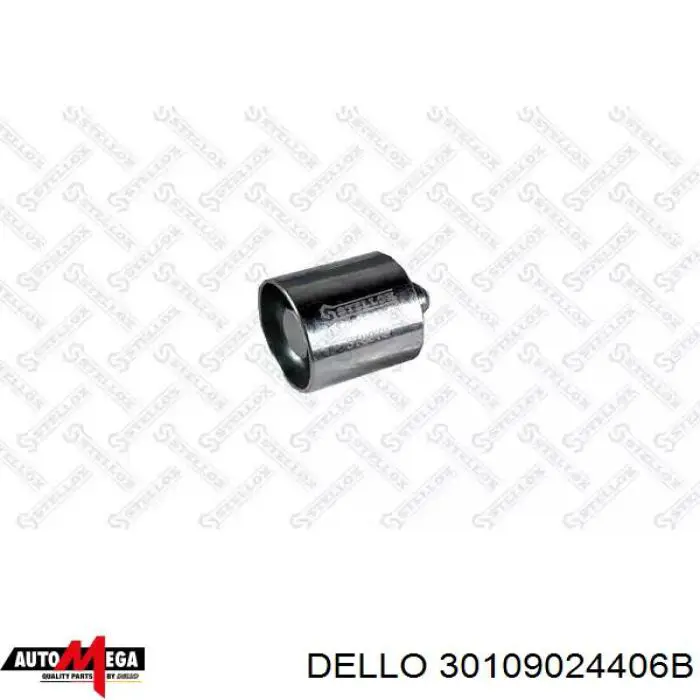 Купити 30109024406B Dello/Automega Ролик паразитний ГРМ