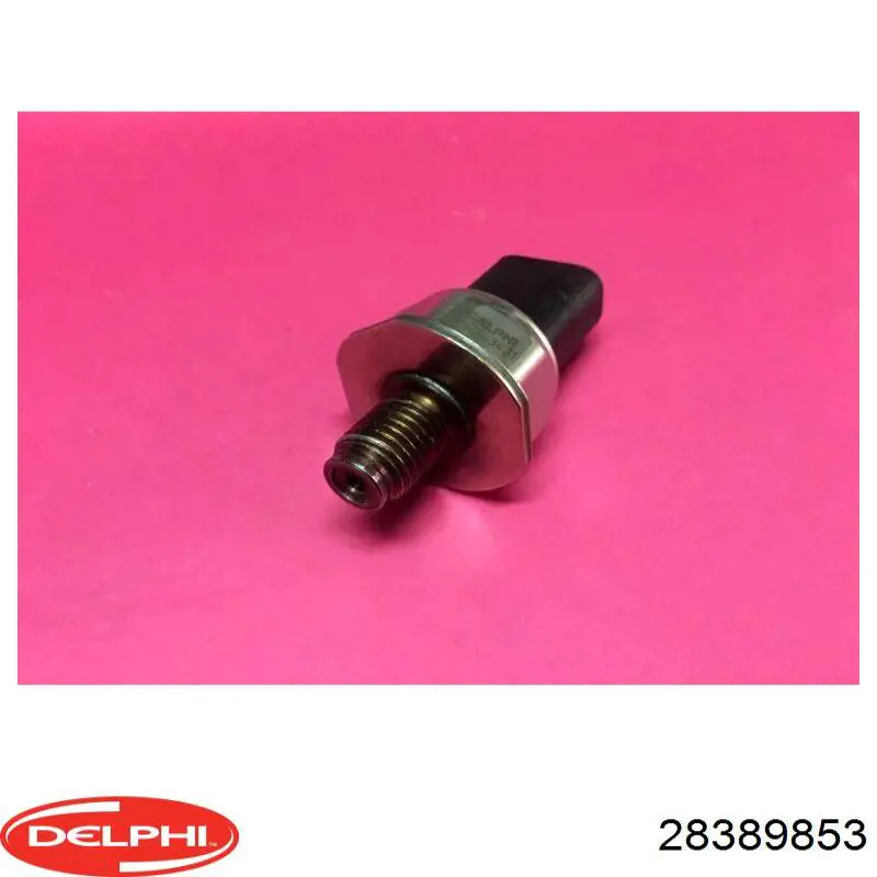 28389853 Delphi Манометри