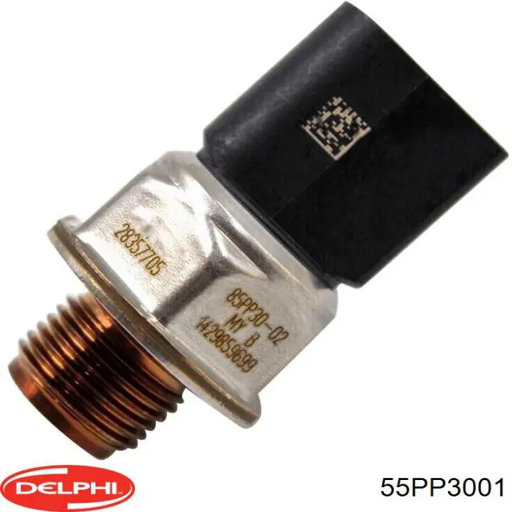 55PP3001 Delphi 