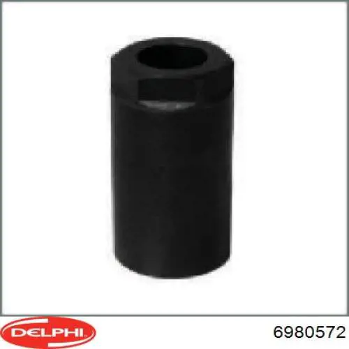 Розпилювач дизельної форсунки Ford Connect фургон (TC7) (2002 - 2013) ціна, від 46.95 USD