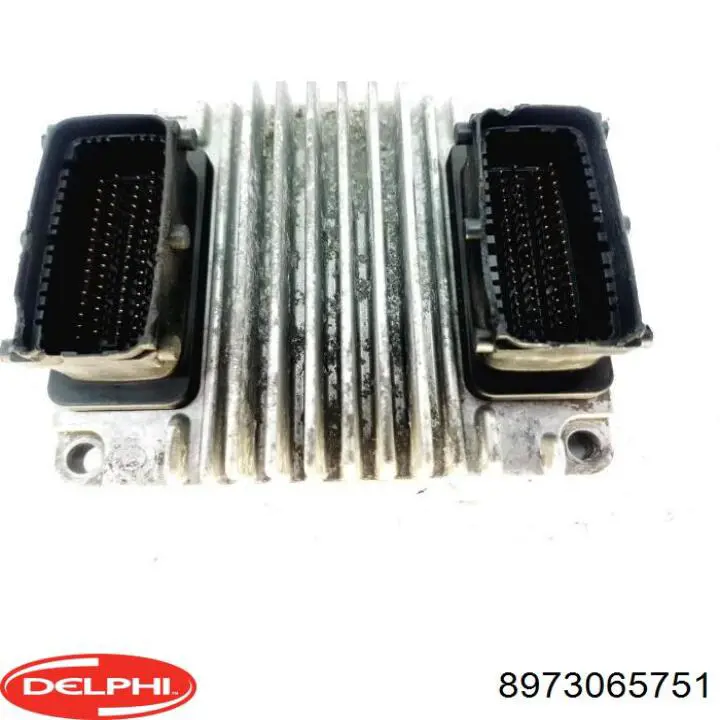 Delphi 8973065751
