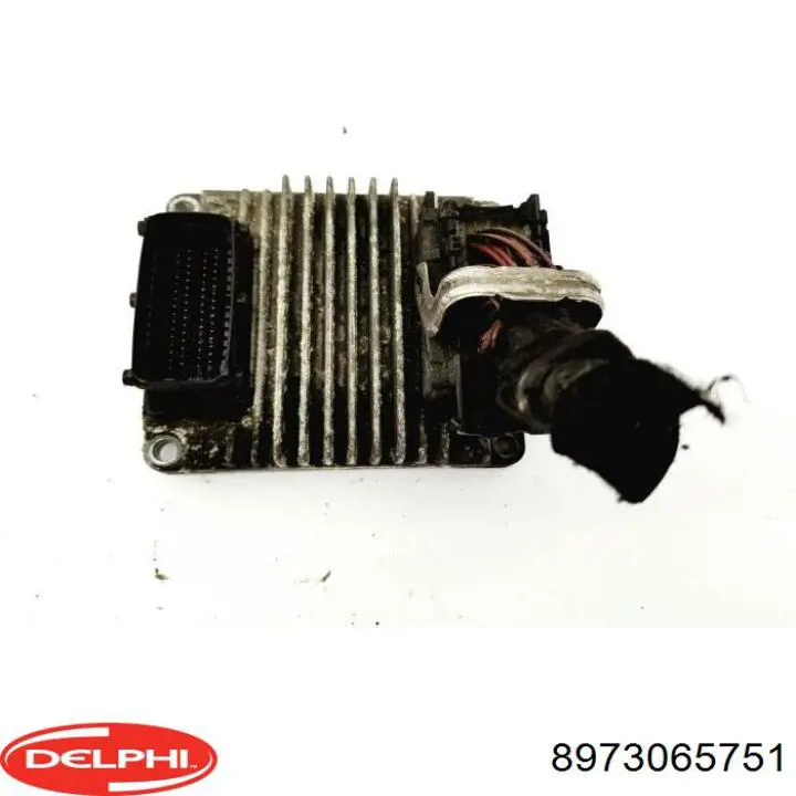 8973065751 Delphi 
