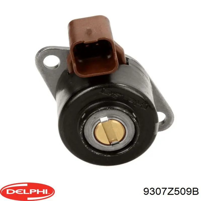  Delphi 9307Z509B ціна, від 14.11 USD