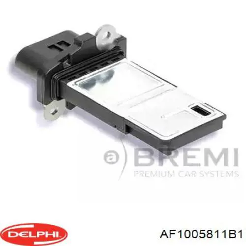 AF1005811B1 Delphi Датчик витрати повітря