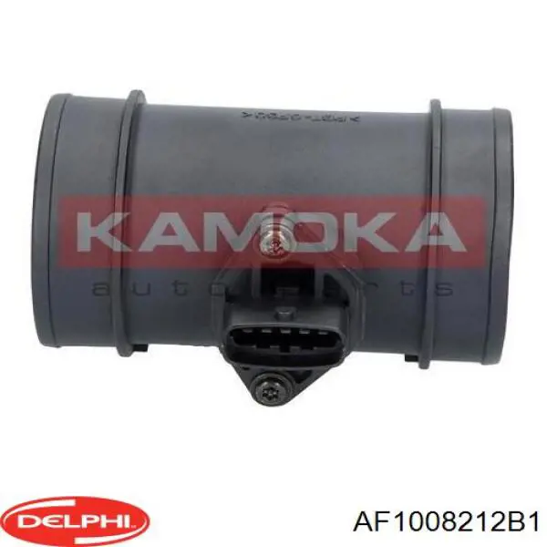 Купити AF1008212B1 Delphi Повітромір