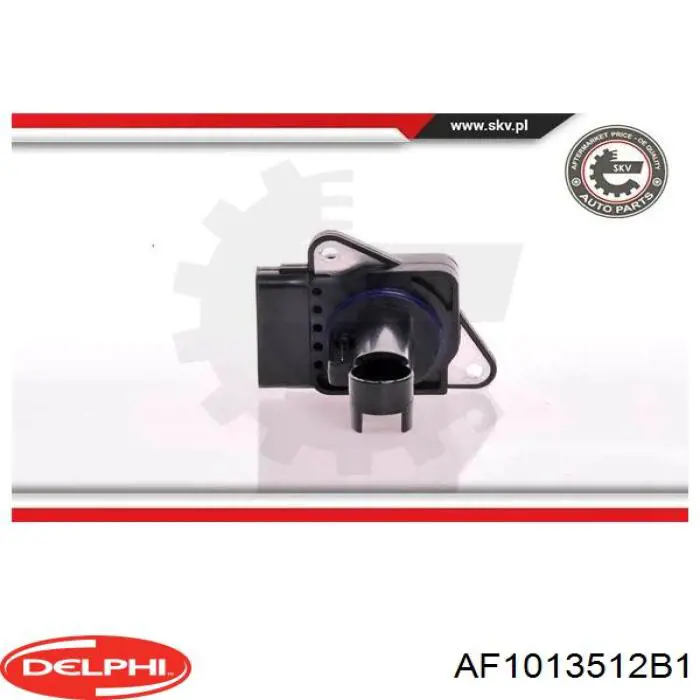 ДМРВ AF1013512B1 Delphi