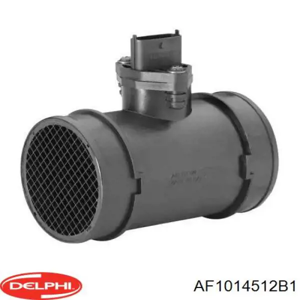 Купити AF1014512B1 Delphi Повітромір