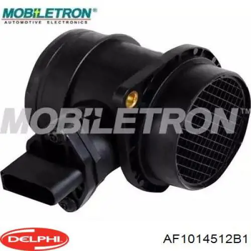 Купити AF1014512B1 Delphi Повітромір
