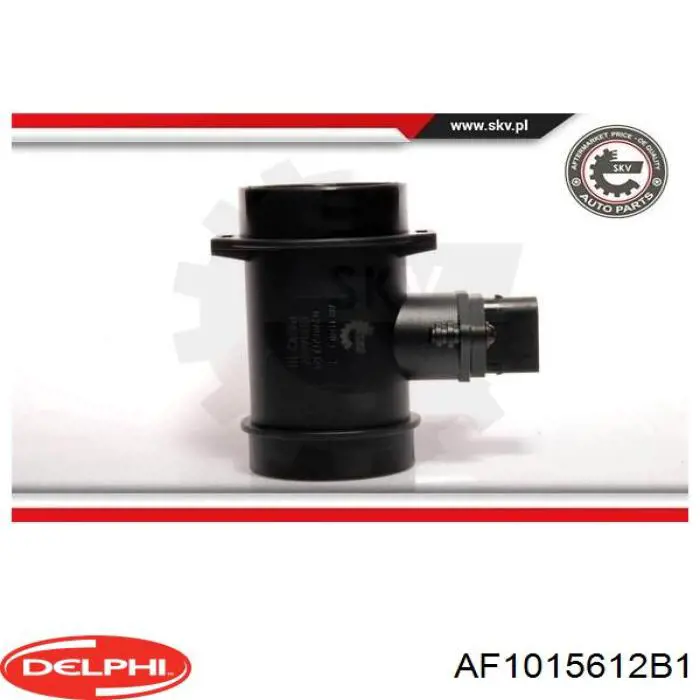 Купити AF1015612B1 Delphi Повітромір