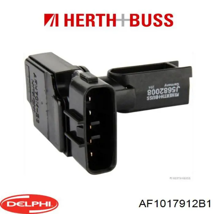 Витратомір повітря Delphi AF1017912B1