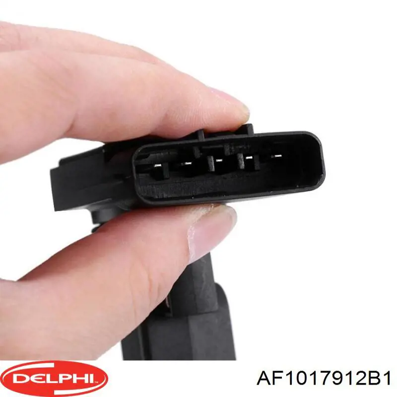 Купити AF1017912B1 Delphi Повітромір