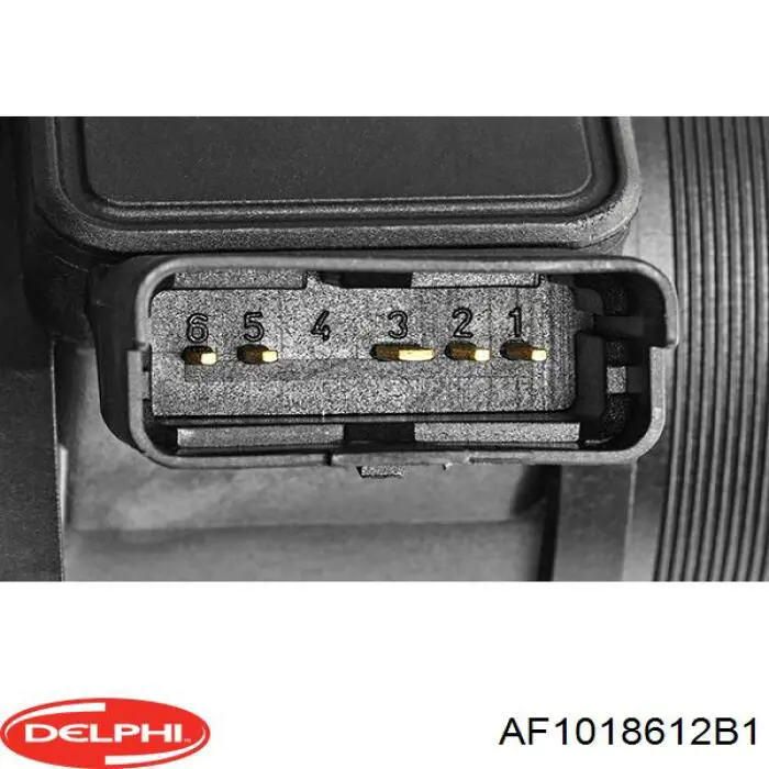Купити AF1018612B1 Delphi Повітромір