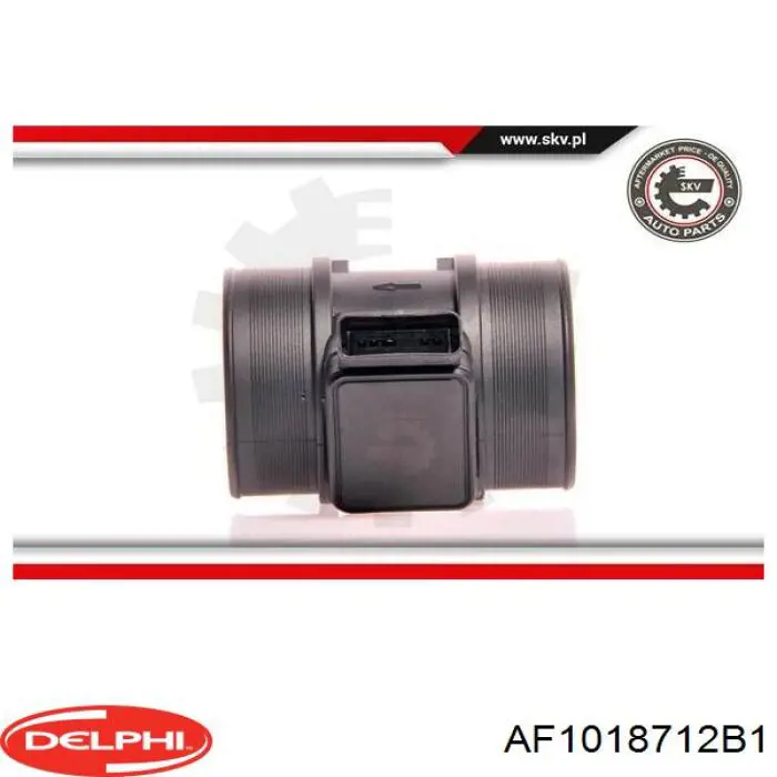 Датчик масової витрати повітря Delphi AF1018712B1 ціна, від 81.82 USD