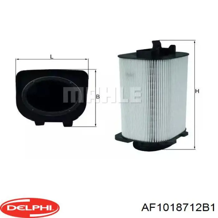 Витратомір повітря Delphi AF1018712B1