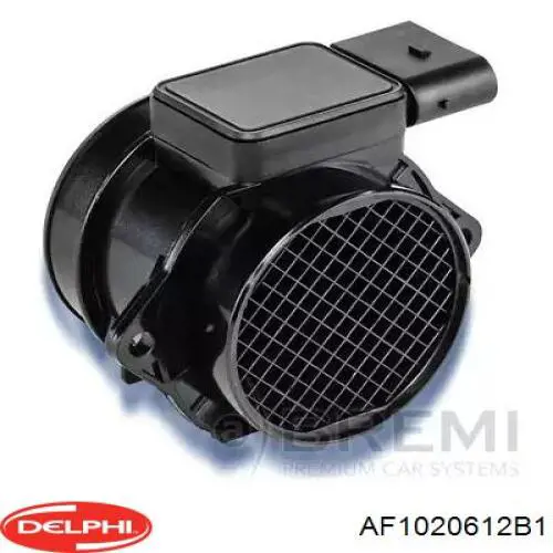 Купити AF1020612B1 Delphi Повітромір
