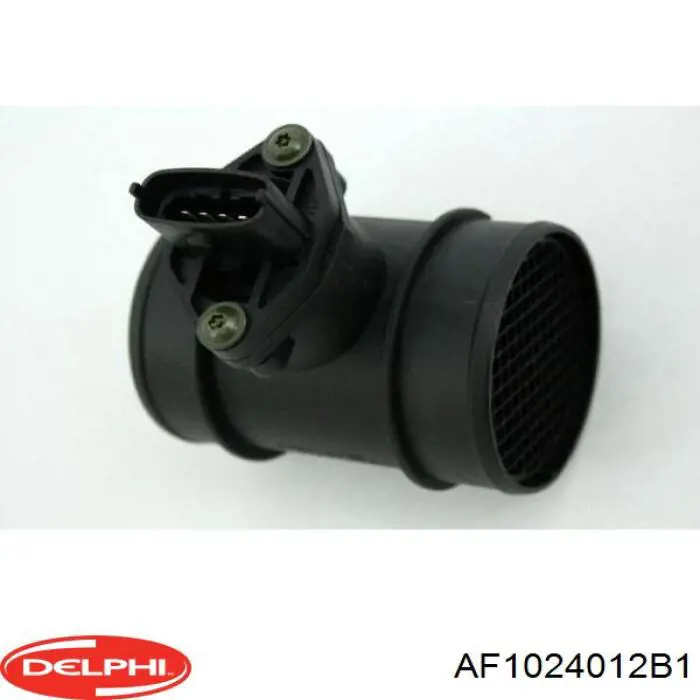Купити AF1024012B1 Delphi Повітромір