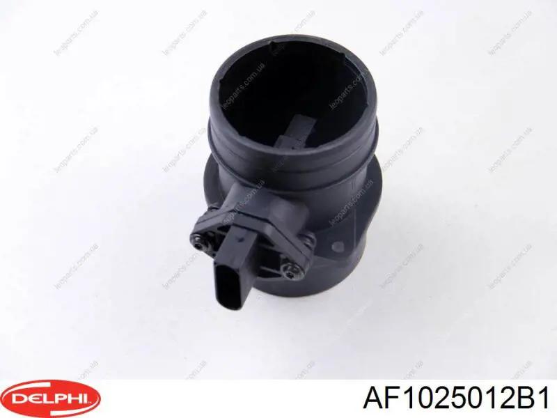 Купити AF1025012B1 Delphi Повітромір