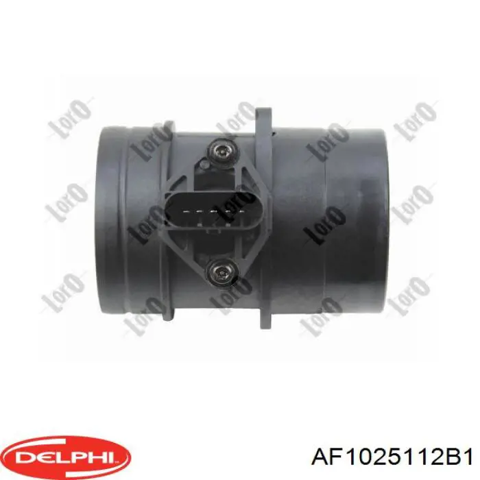 Витратомір повітря Delphi AF1025112B1