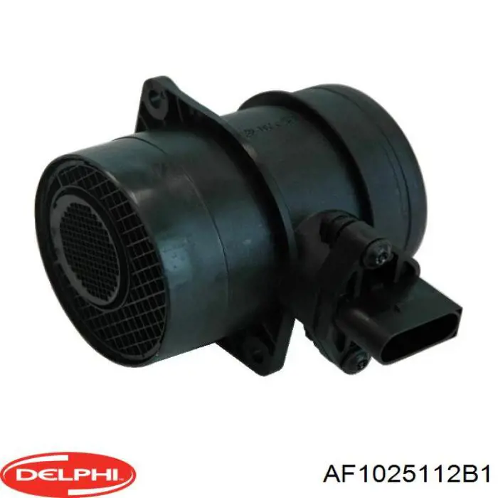 Купити AF1025112B1 Delphi Повітромір