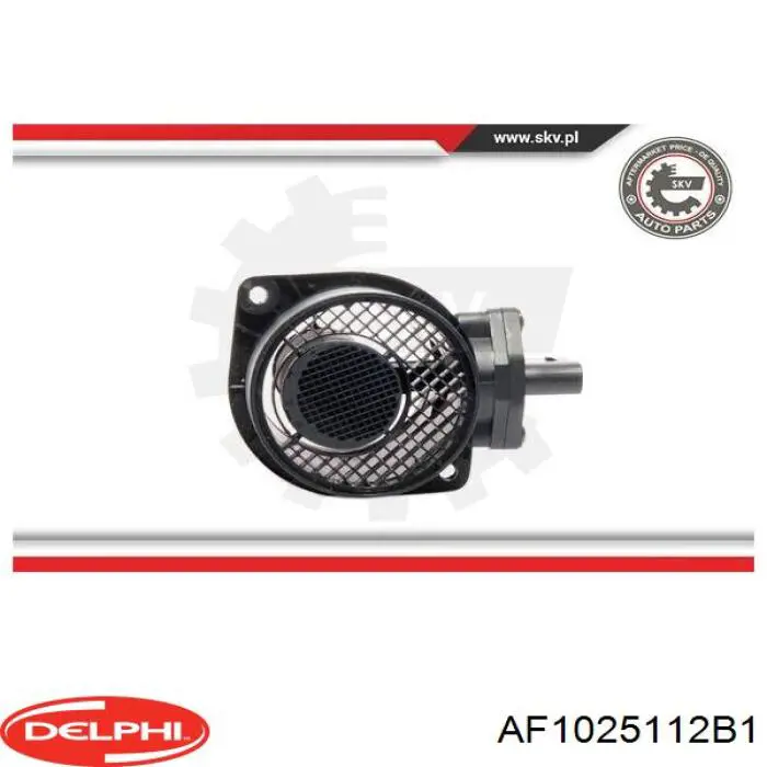 ДМРВ AF1025112B1 Delphi