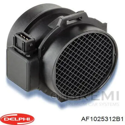 Купити AF1025312B1 Delphi Повітромір