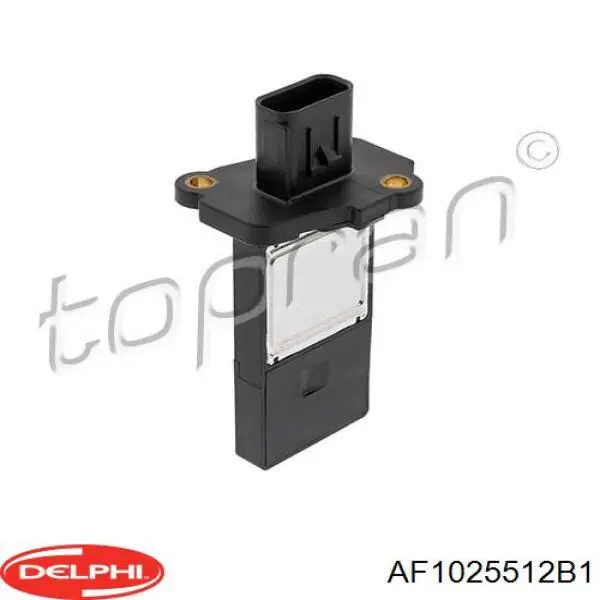 Купити AF1025512B1 Delphi Повітромір