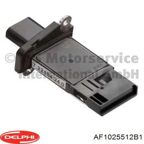 Купити AF1025512B1 Delphi Повітромір