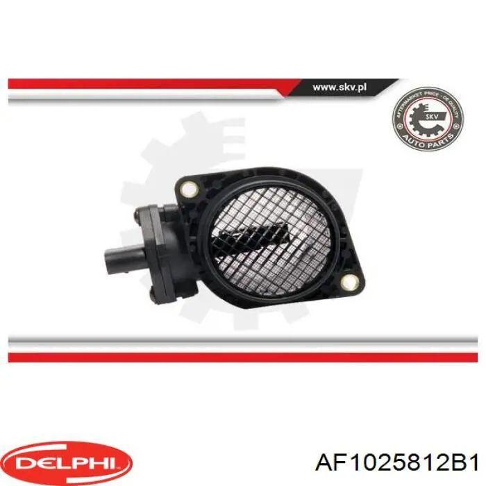 Купити AF1025812B1 Delphi Повітромір